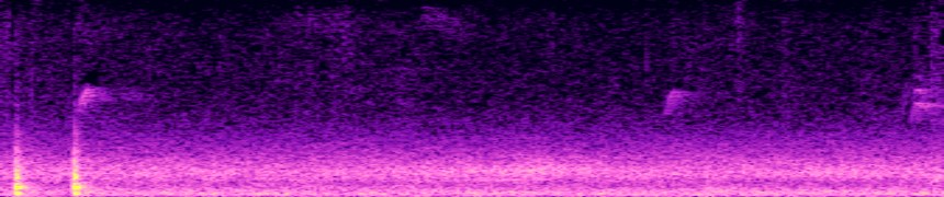 input spectrogram