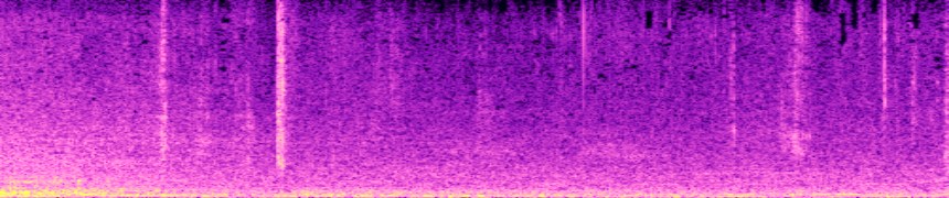 input spectrogram
