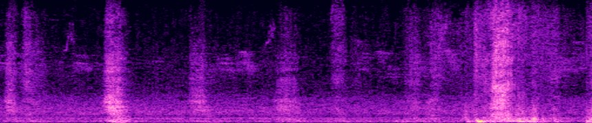 input spectrogram