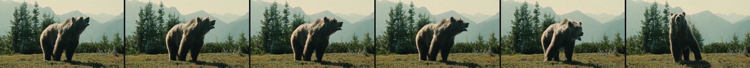 input frames