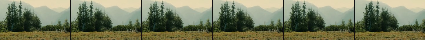 output frames