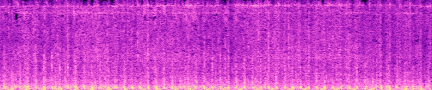 input spectrogram