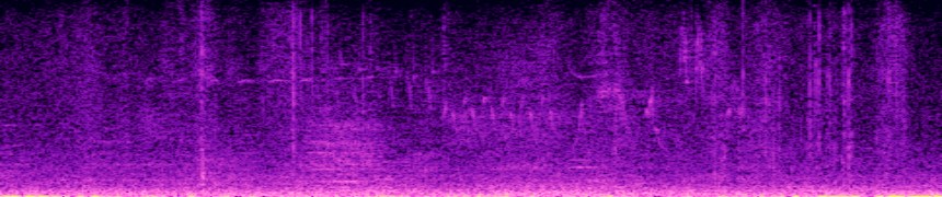input spectrogram